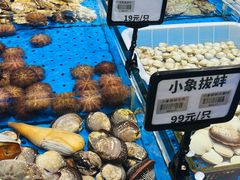 -鲜得莱渔港·小平岛海胆馆(七贤岭店)