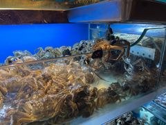 -喜庭海鲜自助(来福士店)