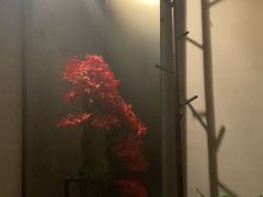 -39°·叁十九度·浴足SPA(龙湖滨江天街总店)