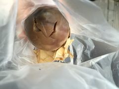 iphone_upload_pic-金盆阿嬷香菇茶叶蛋(玄光店)