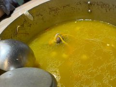 -探窝·竹笙椰子鸡(杨箕店)