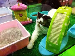 iphone_upload_pic-东浩兰生上海世博展览馆