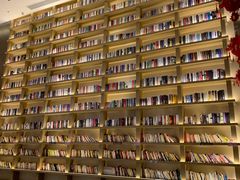 -深影国际影城(学院南路店CGS中国巨幕店)