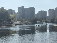 -新江湾城公园