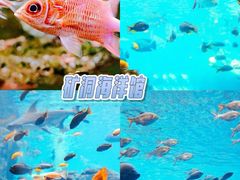 -长鹿旅游休博园