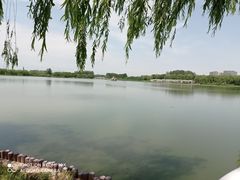 -大兴滨河森林公园