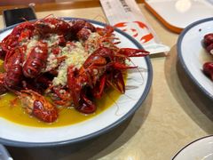 -杨氏青龙虾·羊蝎子(珠江路店)