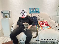 -ID.PHOTO照相馆(嘉里企业中心店)