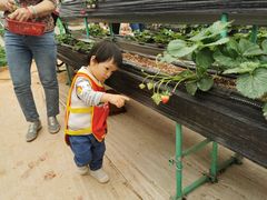 -全优加早教托育园(金海岸店)