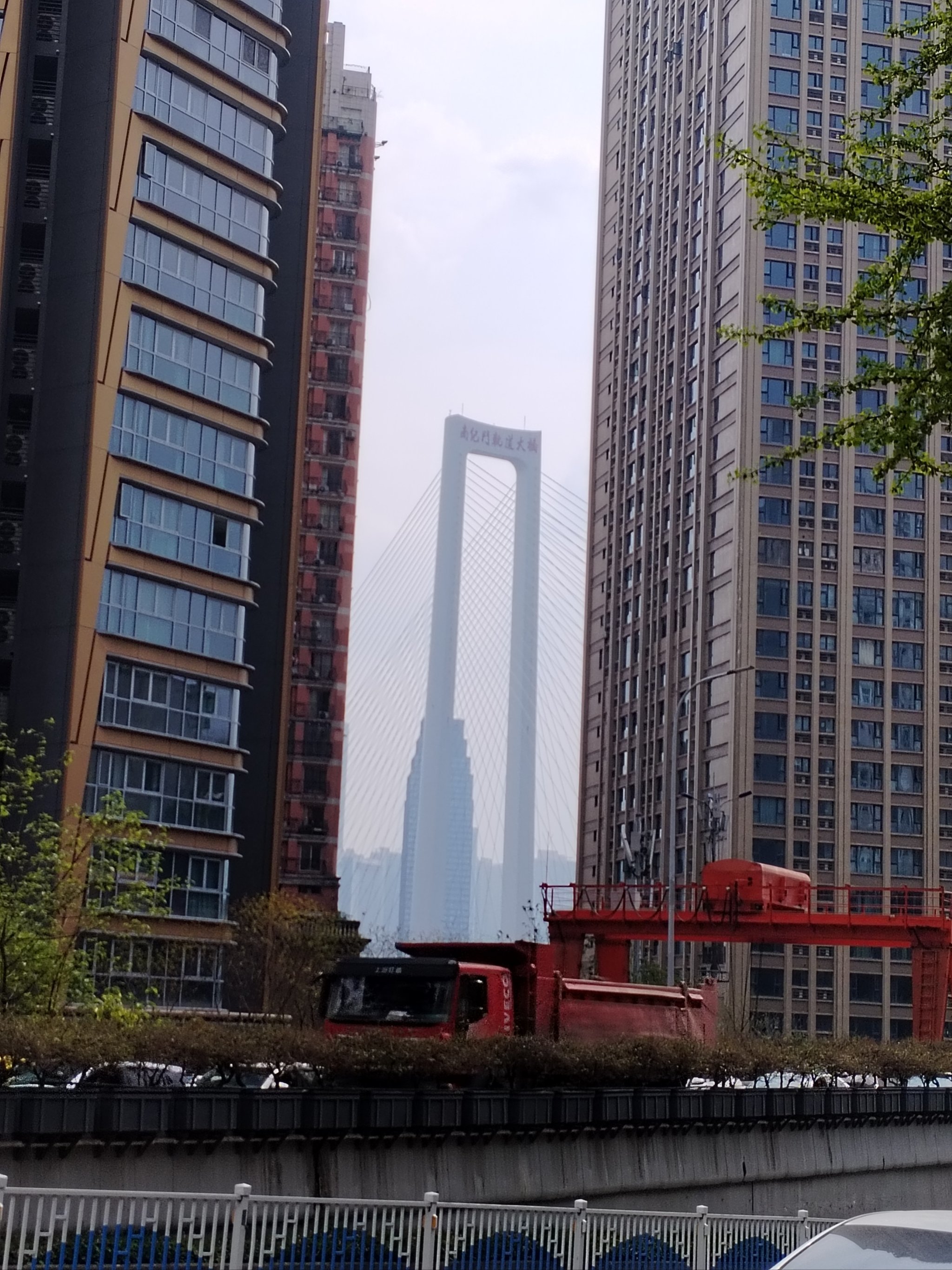 qsbk，奇树宝可梦