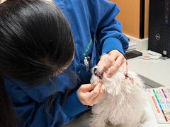 -瑞派康怡24h宠物医院·犬猫医疗中心·微创绝育(瑞景分院)
