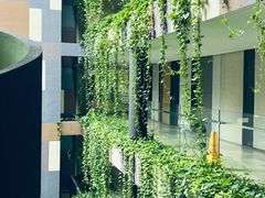 -樟宜机场皇冠假日酒店 （SG Clean） - IHG 旗下酒店