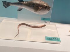 -天津自然博物馆