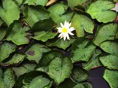 iphone_upload_pic-上海海湾国家森林公园