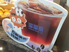 -TD66高山铁皮石斛养生茶饮