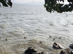 -深圳湾公园(南山区)