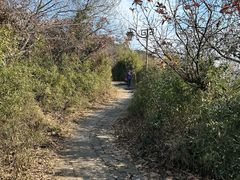 -杭州半山国家森林公园