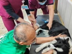 -美联众合动物医院·24h转诊中心