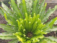 -常州花鸟园酒店(西太湖品牌优选店)