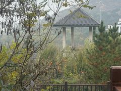 -徂徕山森林康养度假谷温泉