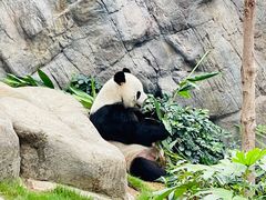 -香港海洋公园