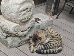 -正阳书局(西四南大街店)