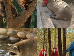 -北京野生动物园