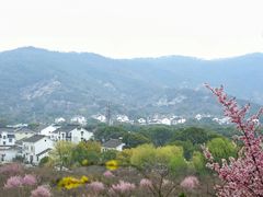 -香雪海