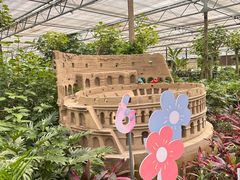 -南宫五洲植物乐园