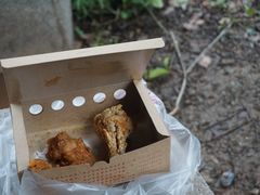 -阿捡忭京炸鸡(韭菜园总店)