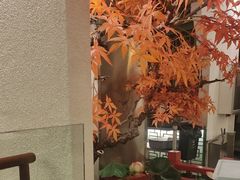 -荷塘秋月·本帮江浙菜(国权路店)