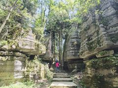 -梭布垭石林景区