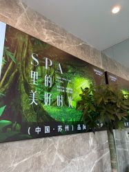 -阅年轻·AI家庭健康体质调理