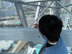 -海合安武汉极地海洋公园
