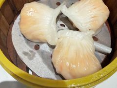 -东方早茶 海鲜•青岛菜(国信体育中心店)