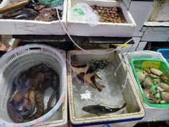 -外伶仃岛海鲜市场