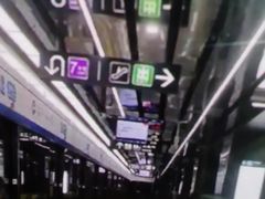 -上海科技馆(地铁站)