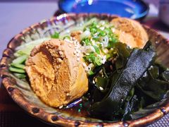-木叶村