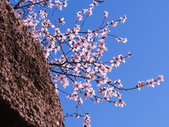 -北京凤凰岭