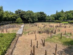 -河姆渡遗址博物馆