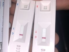 -瑞鹏动物医院宠美康(扬子江路分院)