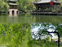 -棠湖公园
