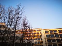 -中央财经大学-食堂