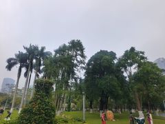 -万绿园