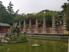 -泰山风景名胜区-普照寺