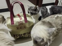 -宏状元现熬粥·京味菜(五棵松店)