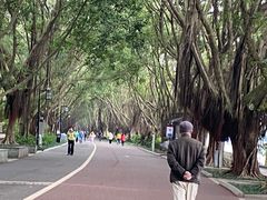 -南宁南湖公园