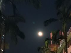 -福建中医药大学附属第二人民医院(本部)