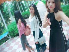 -广州花之恋城堡酒店