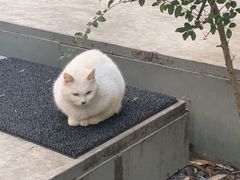 -胶囊画廊